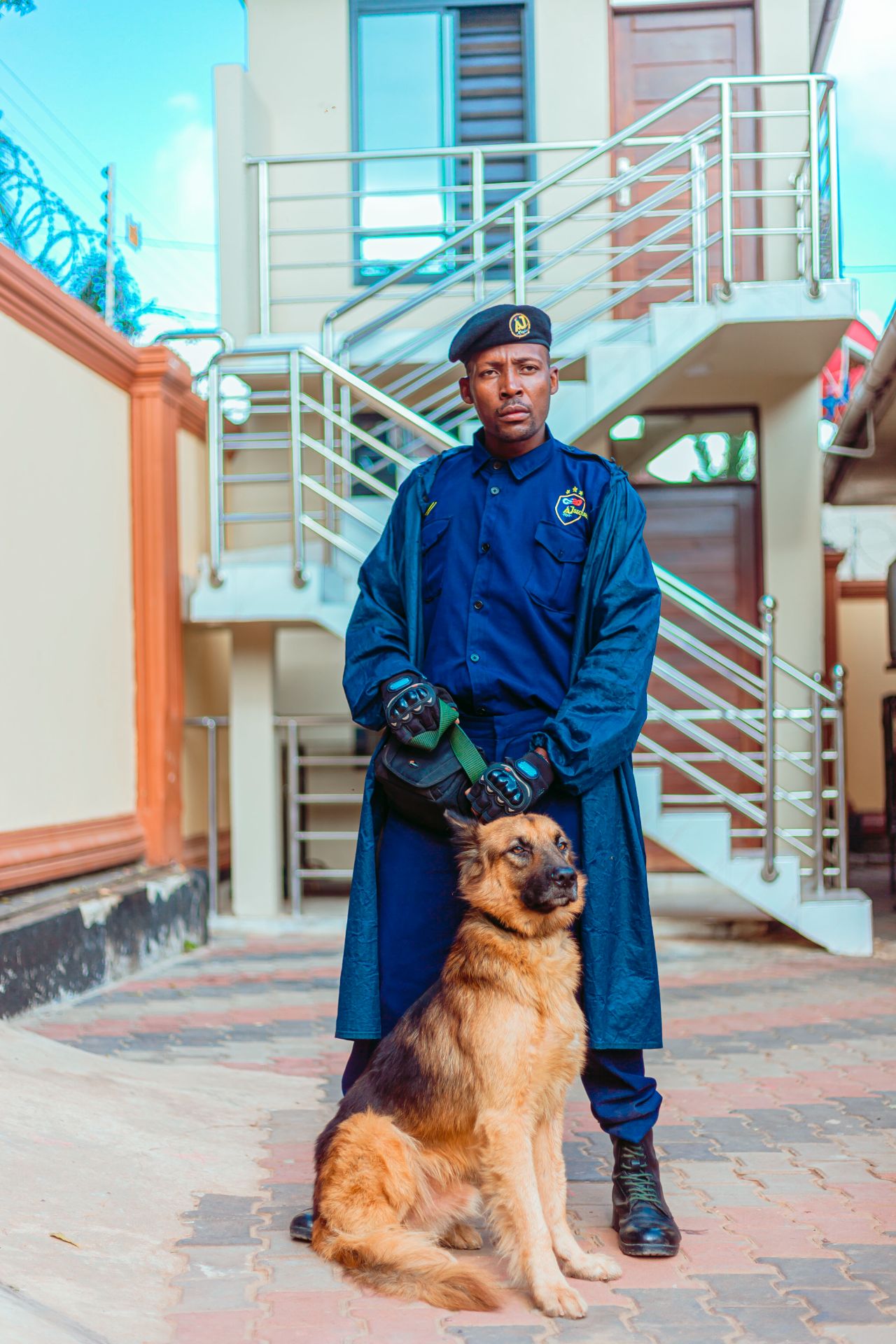 AJPLUS Security Dogs