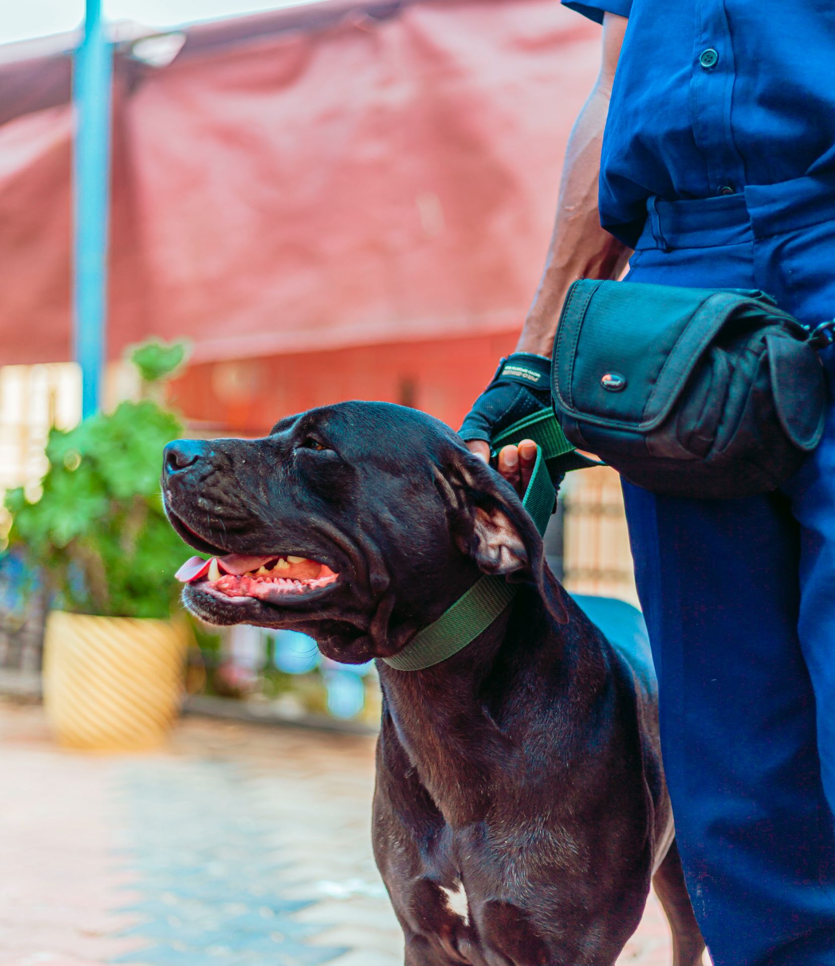 Intelligent Security Solutions
